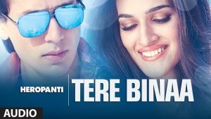 tere-bina-chords-mustafa-zahid