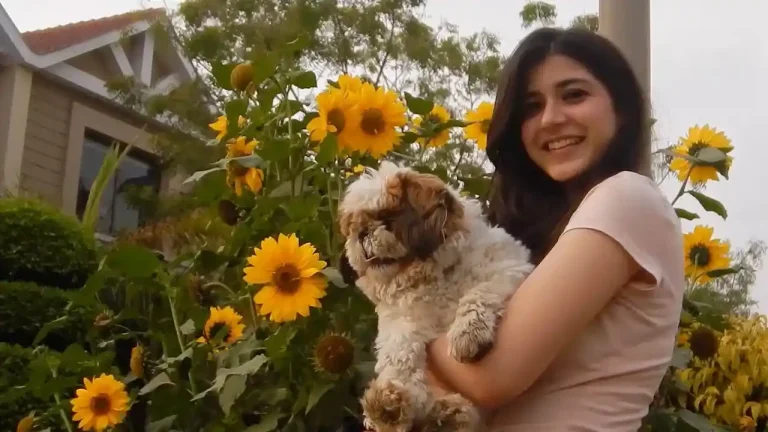 iraaday-chords-abdul-hannan